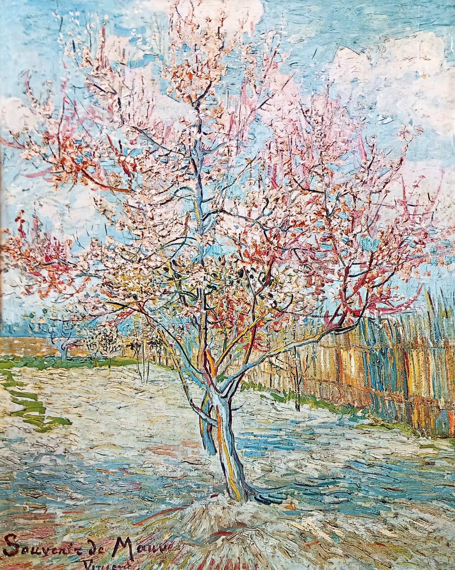 Trees in Blossom